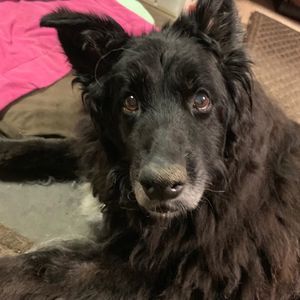 Meet your Posher, Patrick